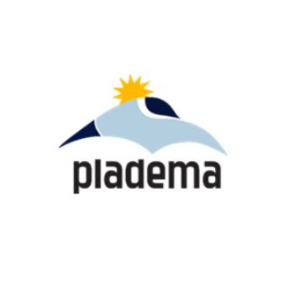 Logo del Instituto de Plasmas Densos (PLADEMA)
