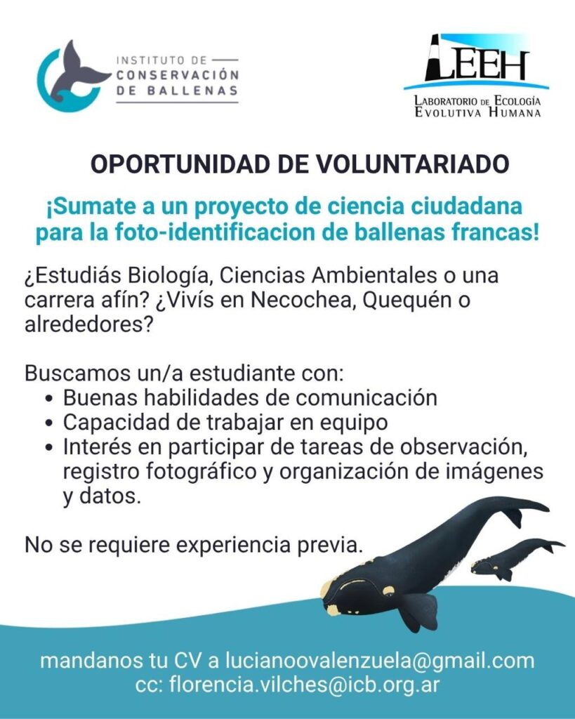Oportunidad de voluntariado en proyecto de ciencia ciudadana sobre ballenas francas